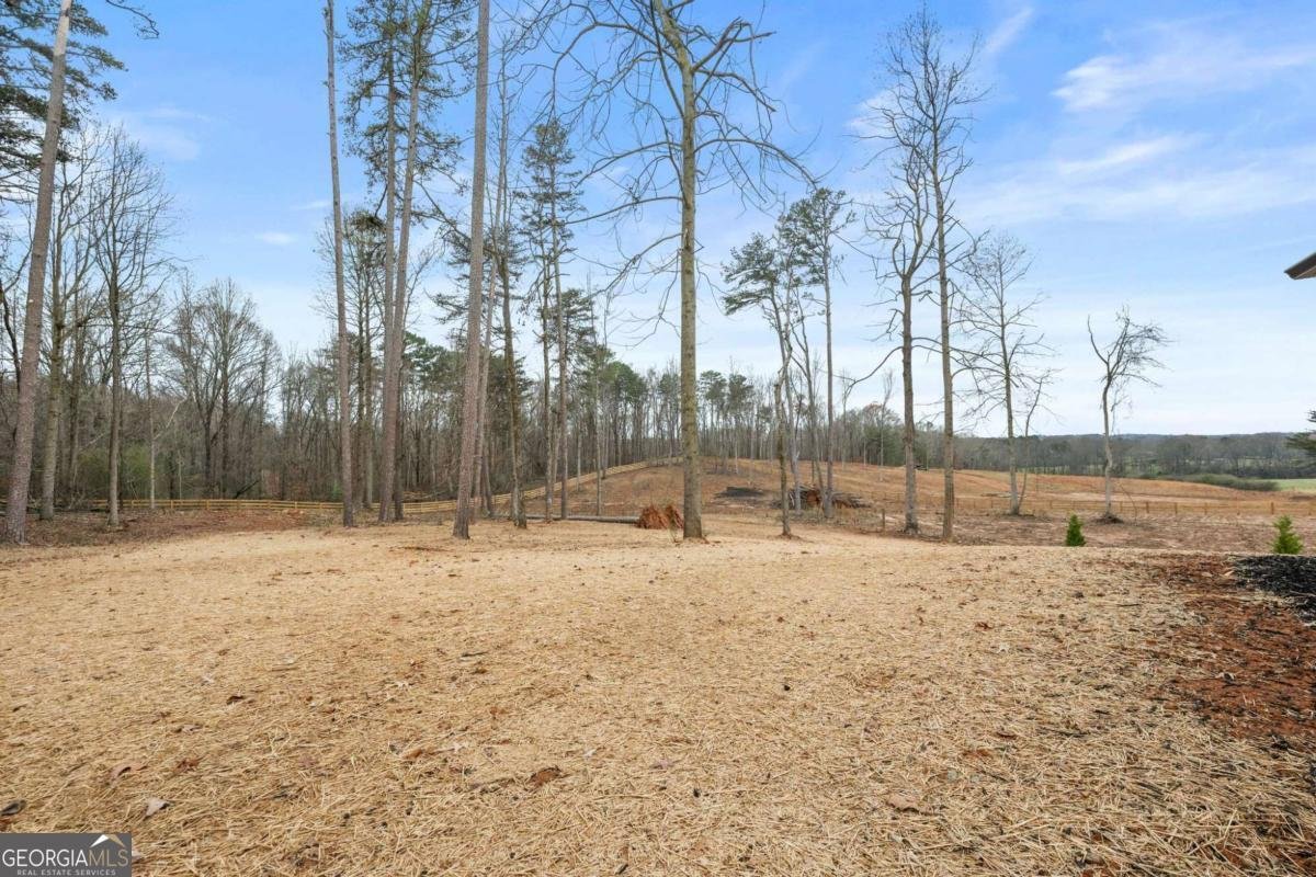 6618 Kenimer Road Clermont - 11