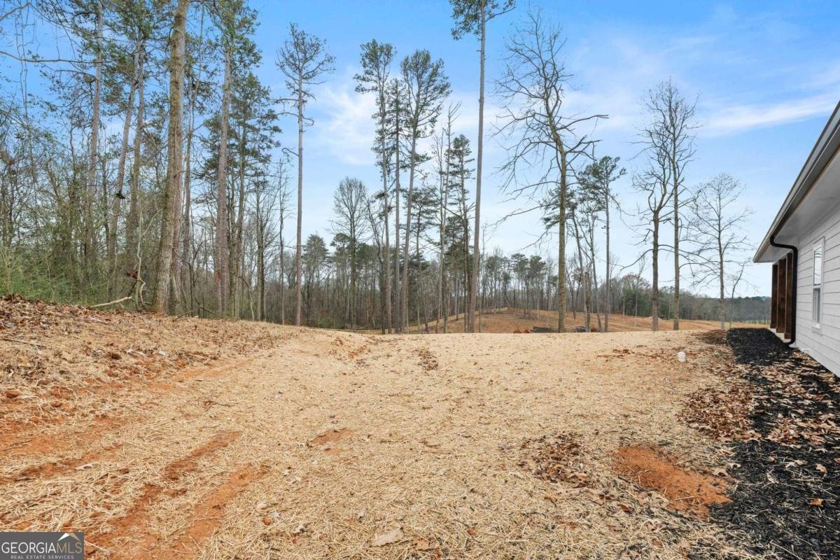 6618 Kenimer Road Clermont - Photo 37