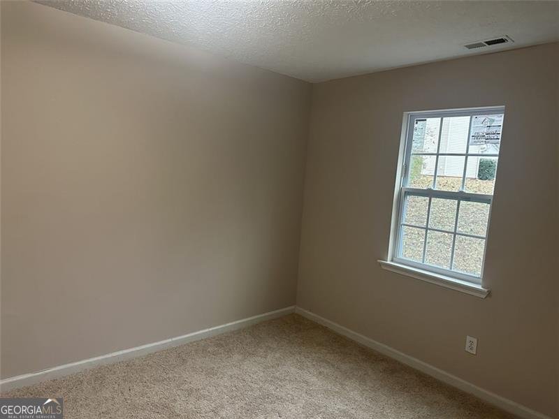 1315 SWEETWATER COURT McDonough - 10