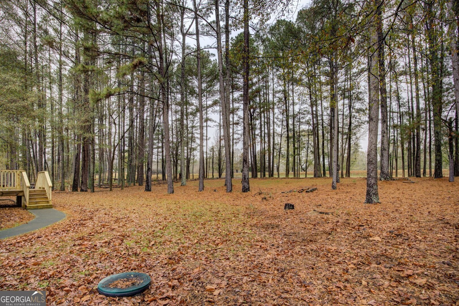 4185 Gauntt Road Covington - 8