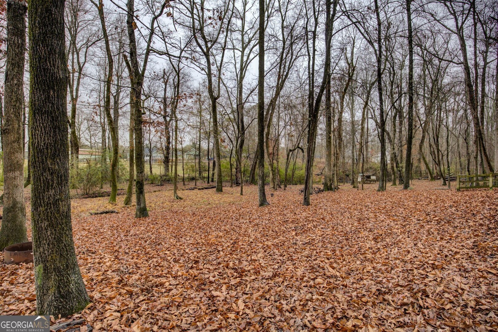 4185 Gauntt Road Covington - 9