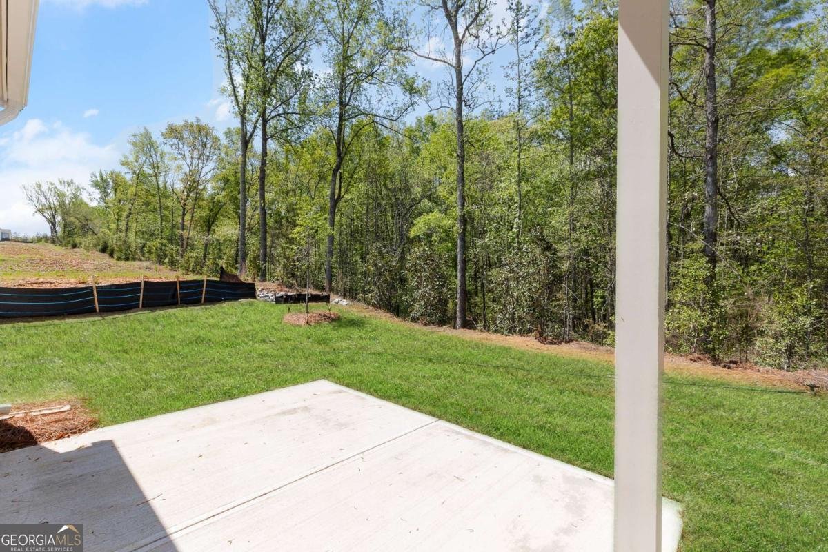 7201 Maple Brook Lane Flowery Branch - 39