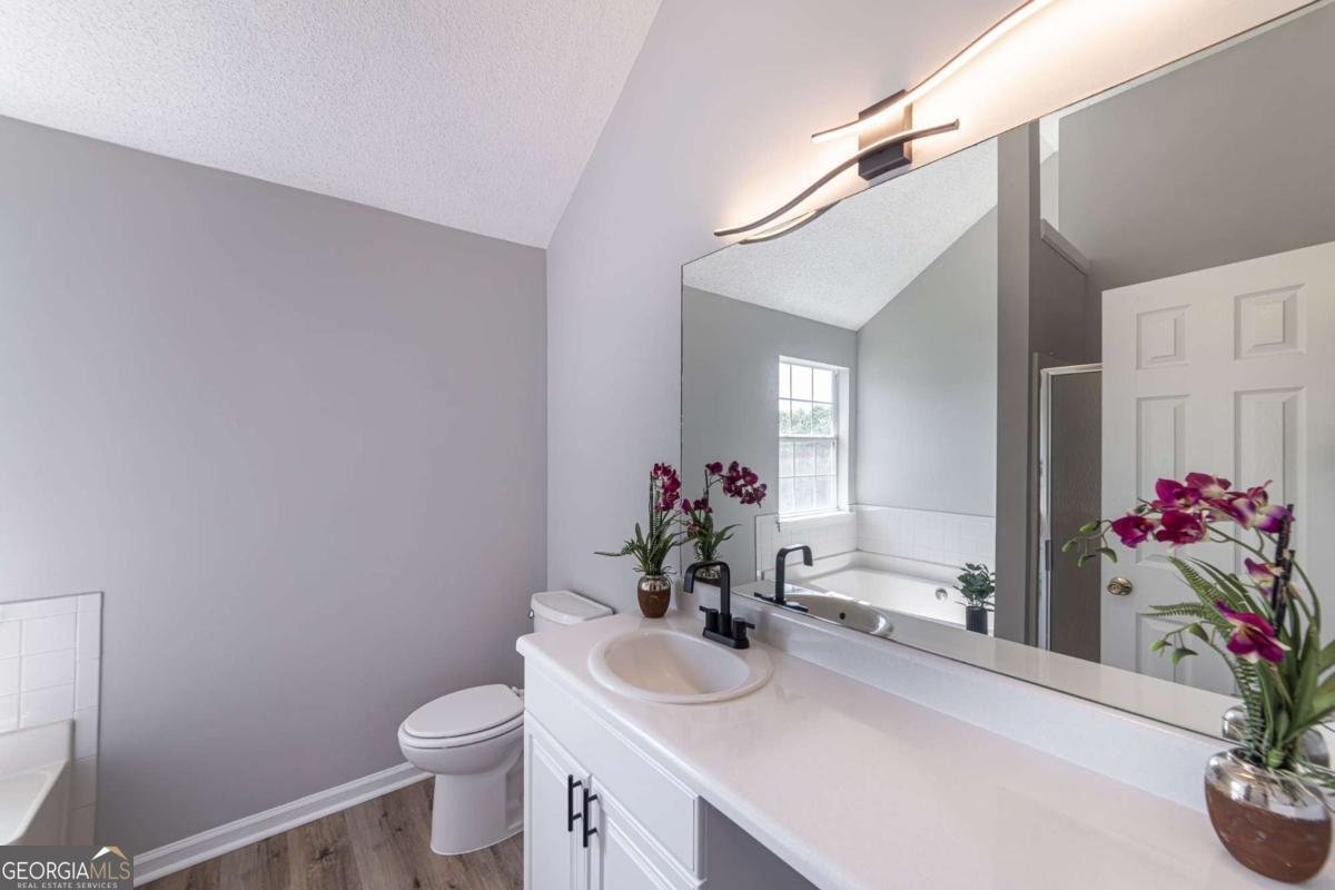 4378 Lodgeview Place Douglasville - 30