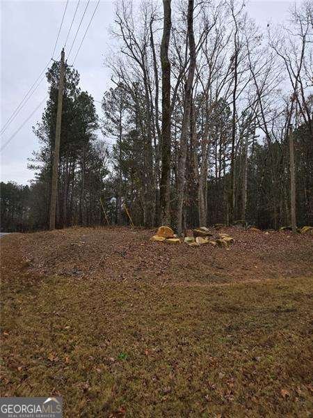 2197 Holders Siding Road Jefferson - 29