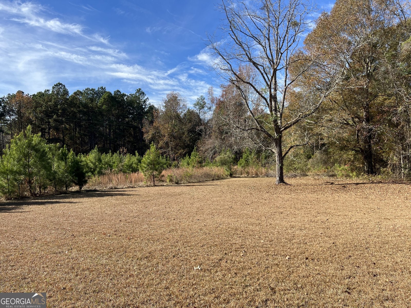 6419 Cochran Highway Cochran - 25