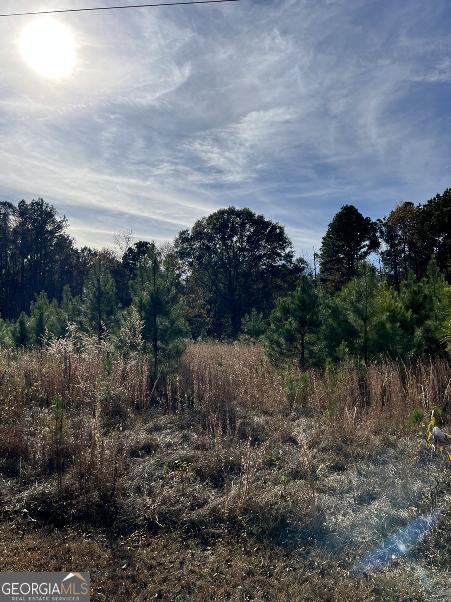 6419 Cochran Highway Cochran - 38