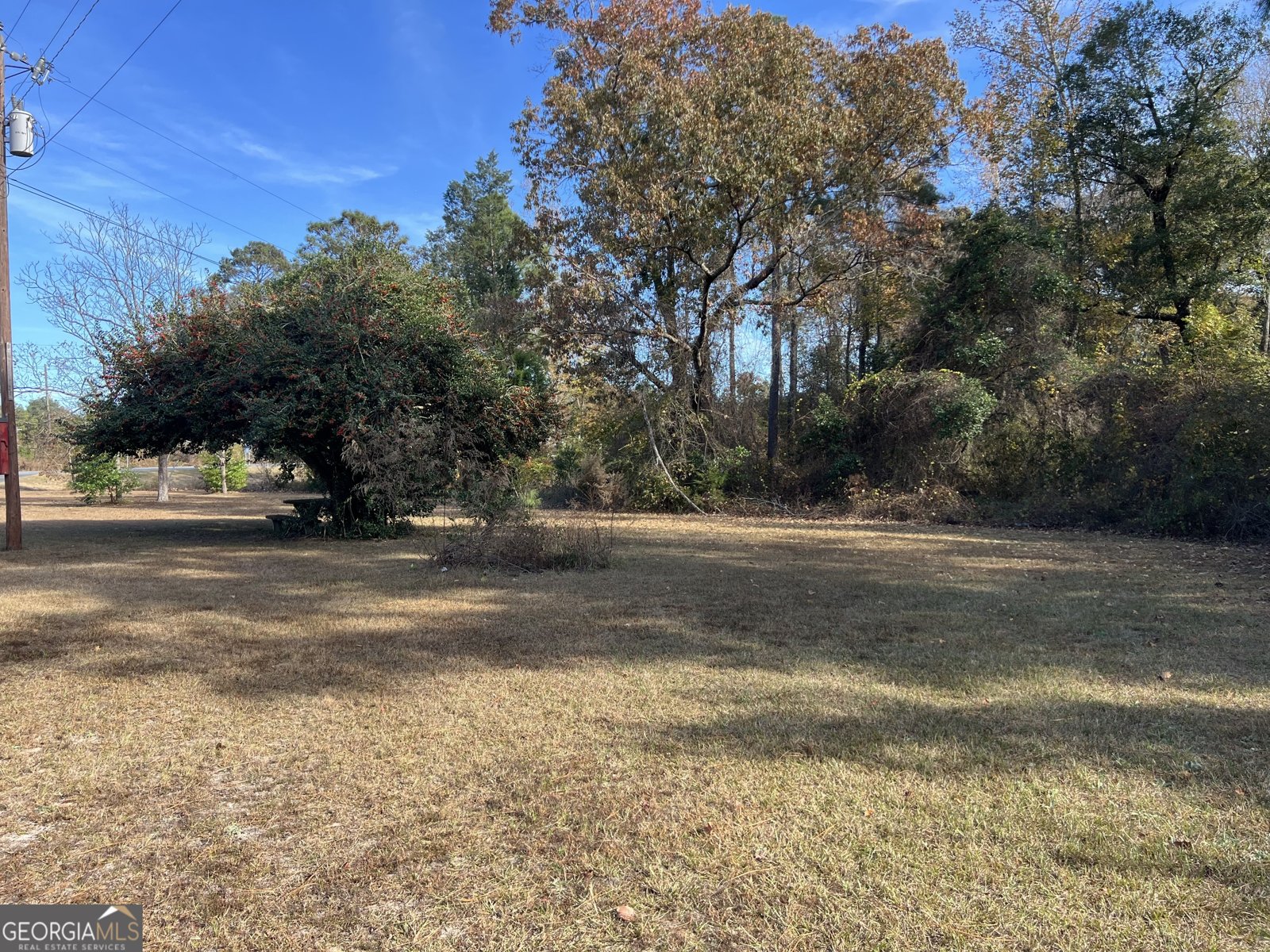 6419 Cochran Highway Cochran - 42