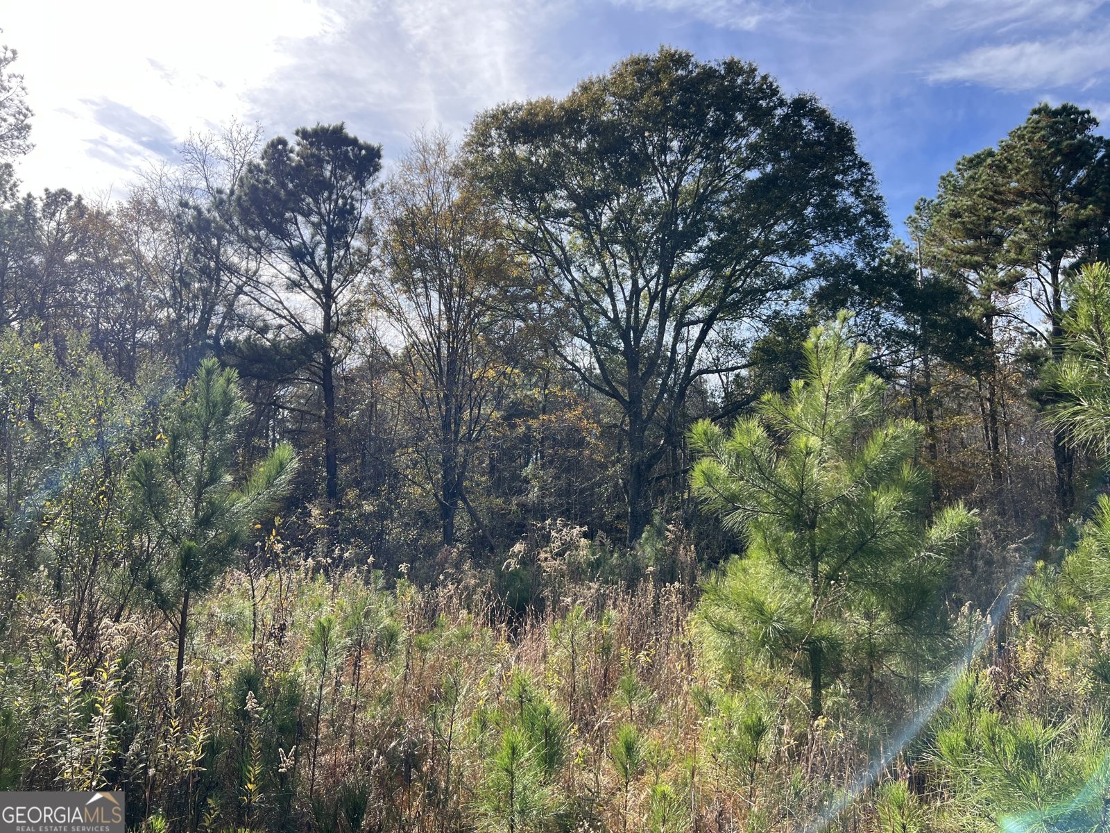 6419 Cochran Highway Cochran - 44