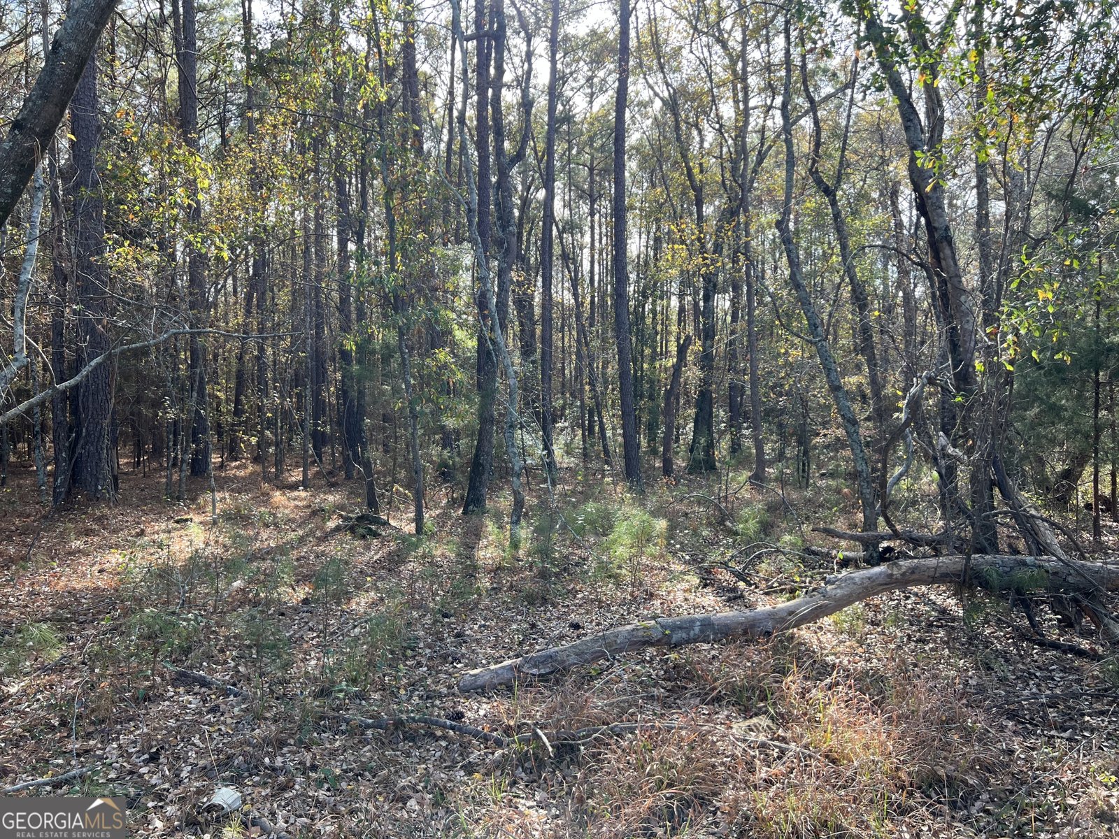 6419 Cochran Highway Cochran - 45