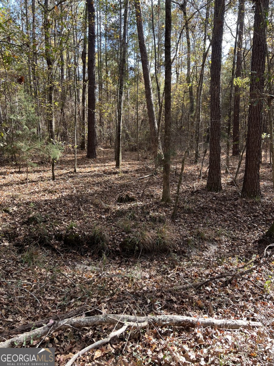 6419 Cochran Highway Cochran - 48