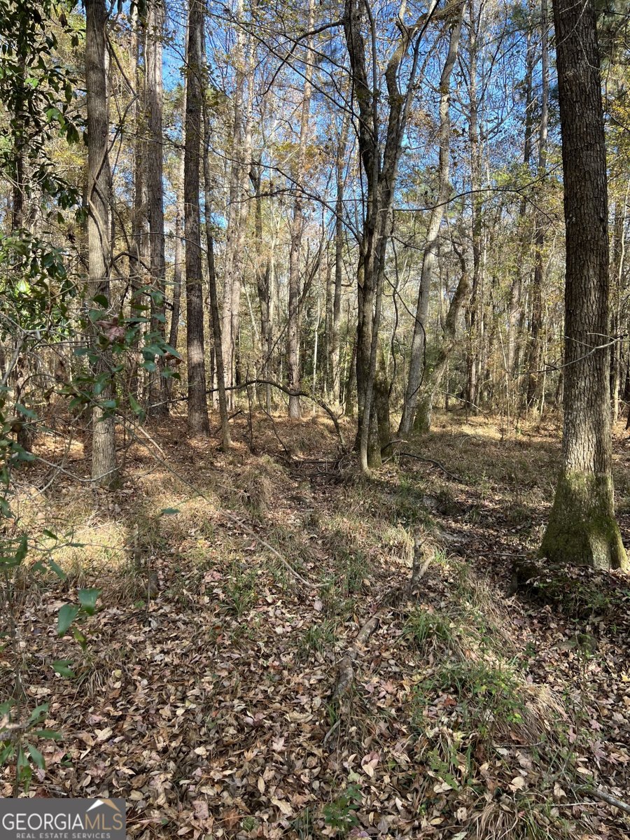 6419 Cochran Highway Cochran - 49