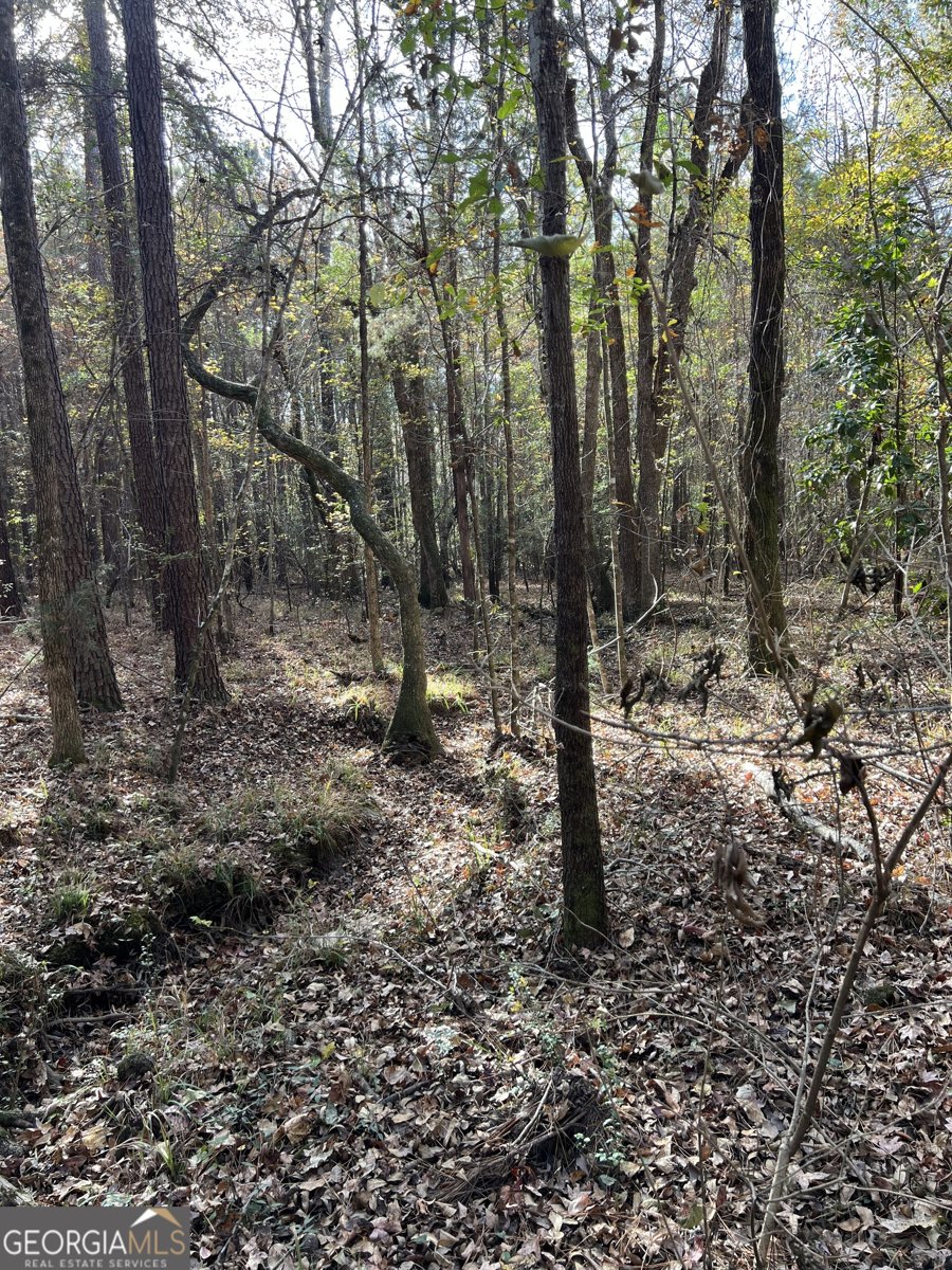 6419 Cochran Highway Cochran - 50