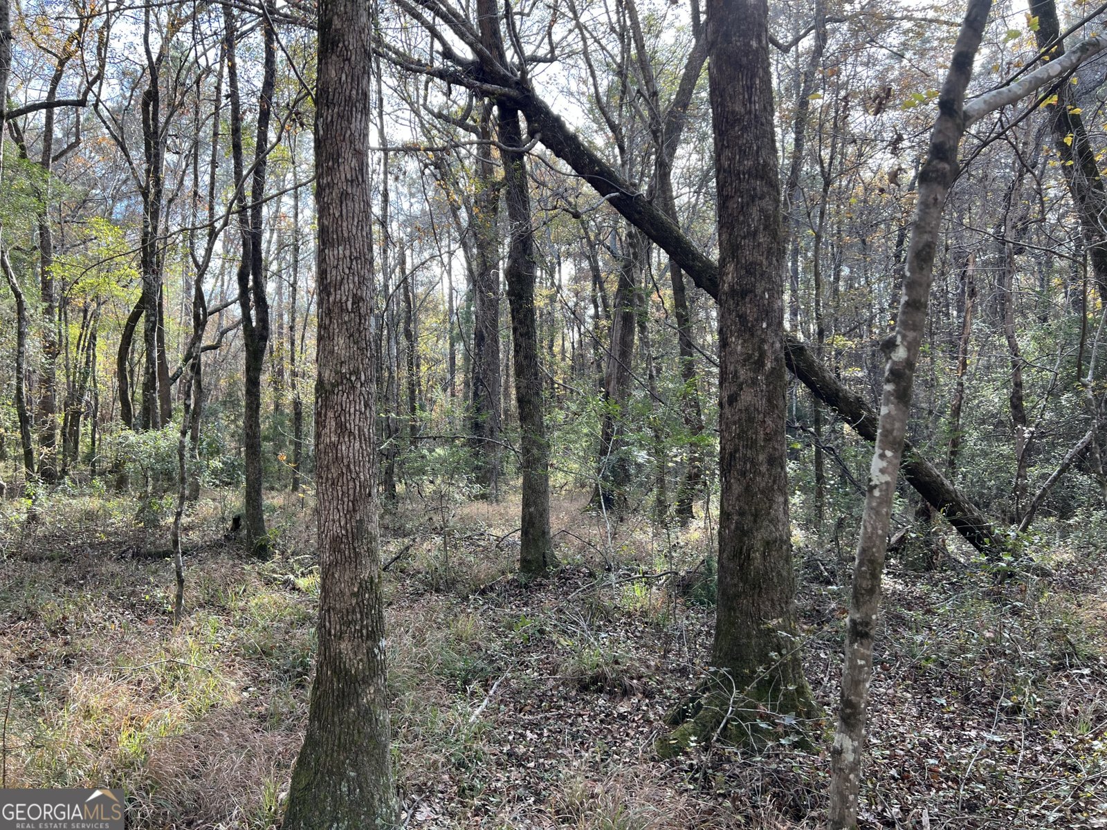 6419 Cochran Highway Cochran - 51