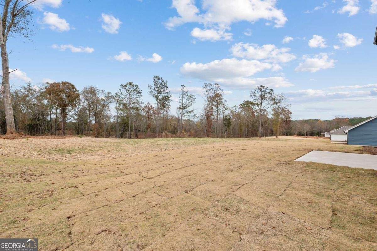 32 JOSEPH Lane Hartwell - Photo 37