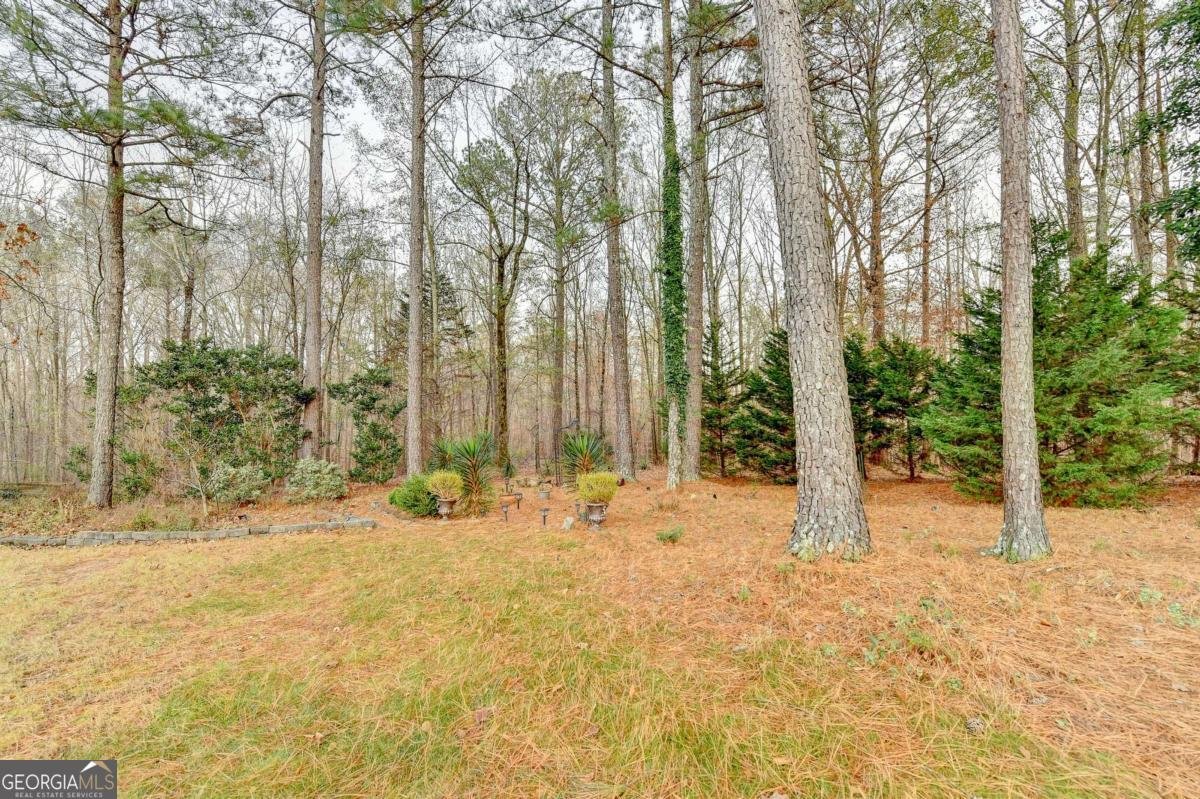 2819 Heritage Oaks Circle Dacula - 69