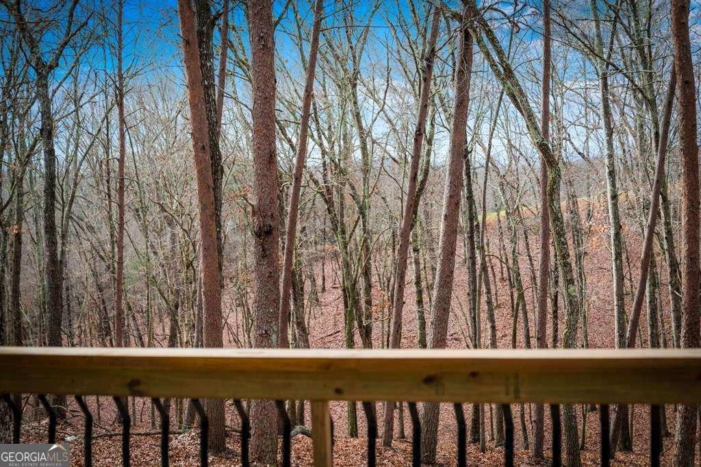 2393 Ada Street Blue Ridge - 3