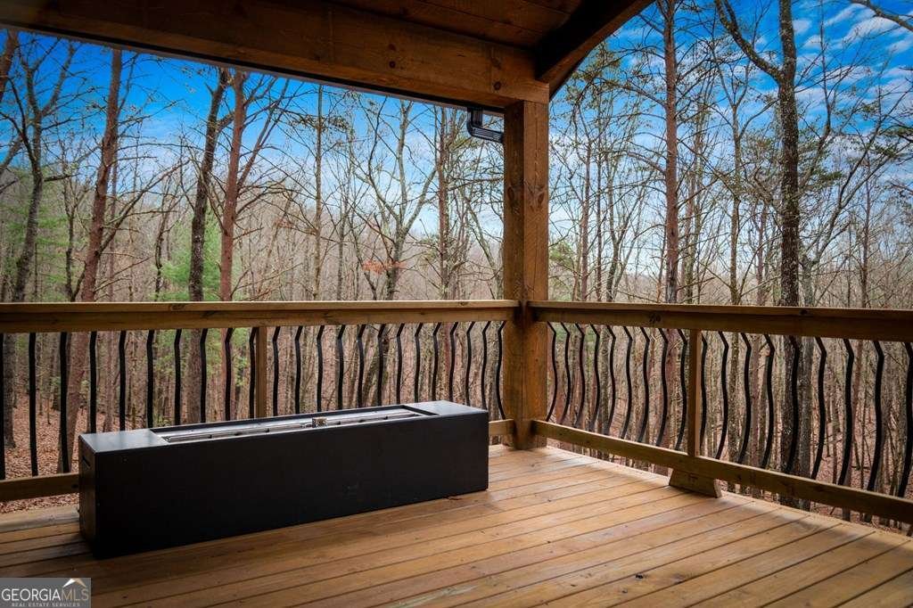 2393 Ada Street Blue Ridge - 42