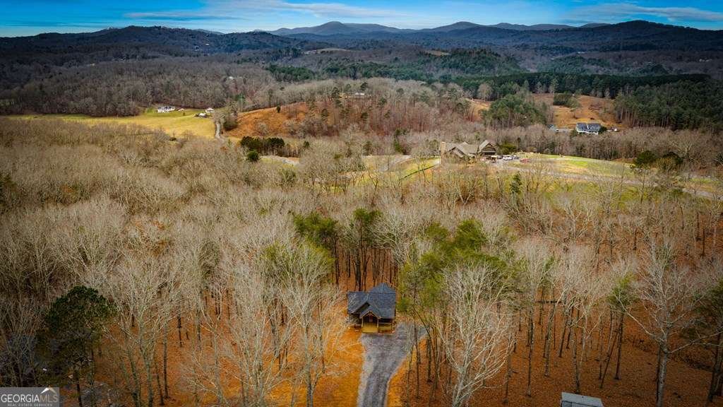 2393 Ada Street Blue Ridge - 47