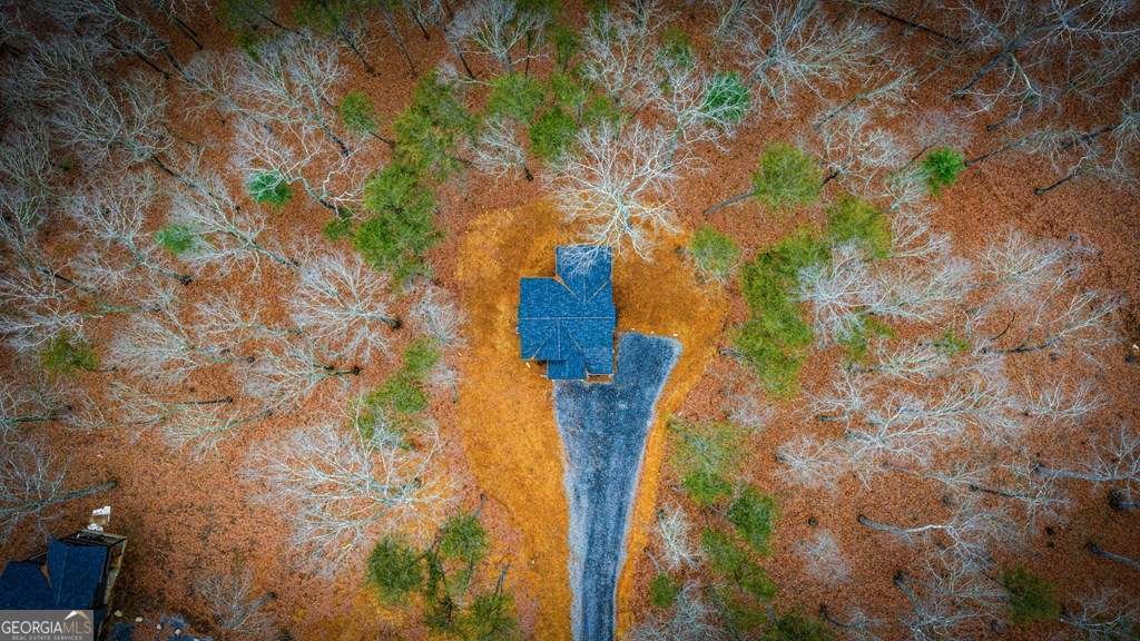 2393 Ada Street Blue Ridge - 57