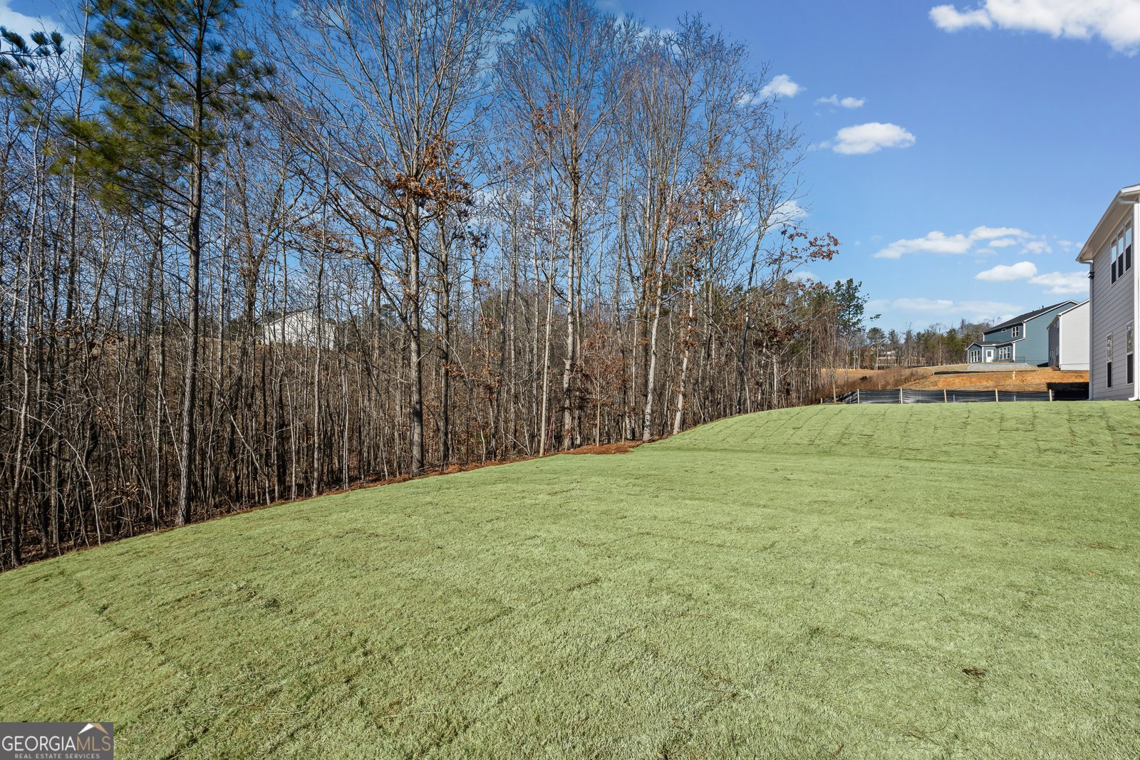 4695 Wilderness Trail Flowery Branch - 38