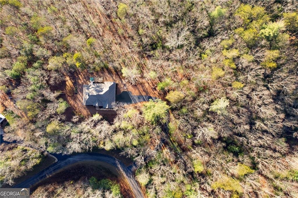 140 Robert Drive Ellijay - 3