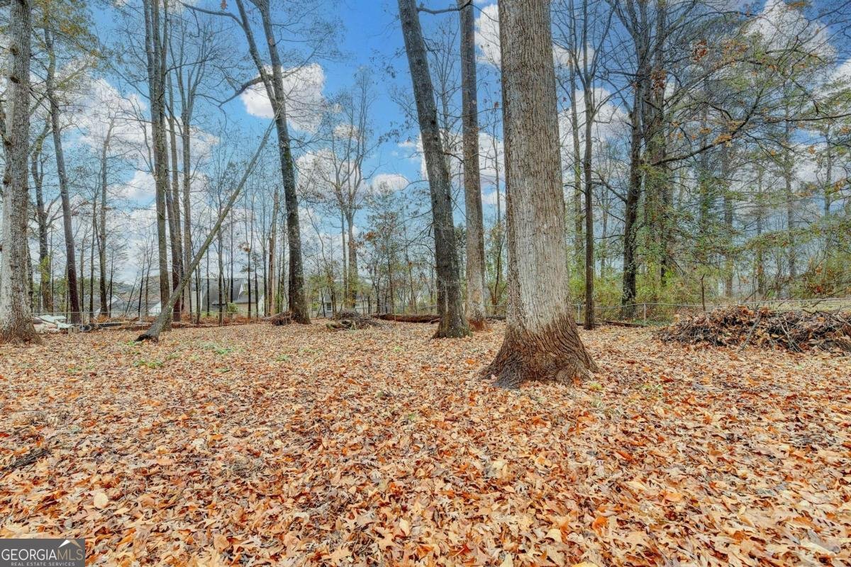 493 Tracy Court Lawrenceville - 42