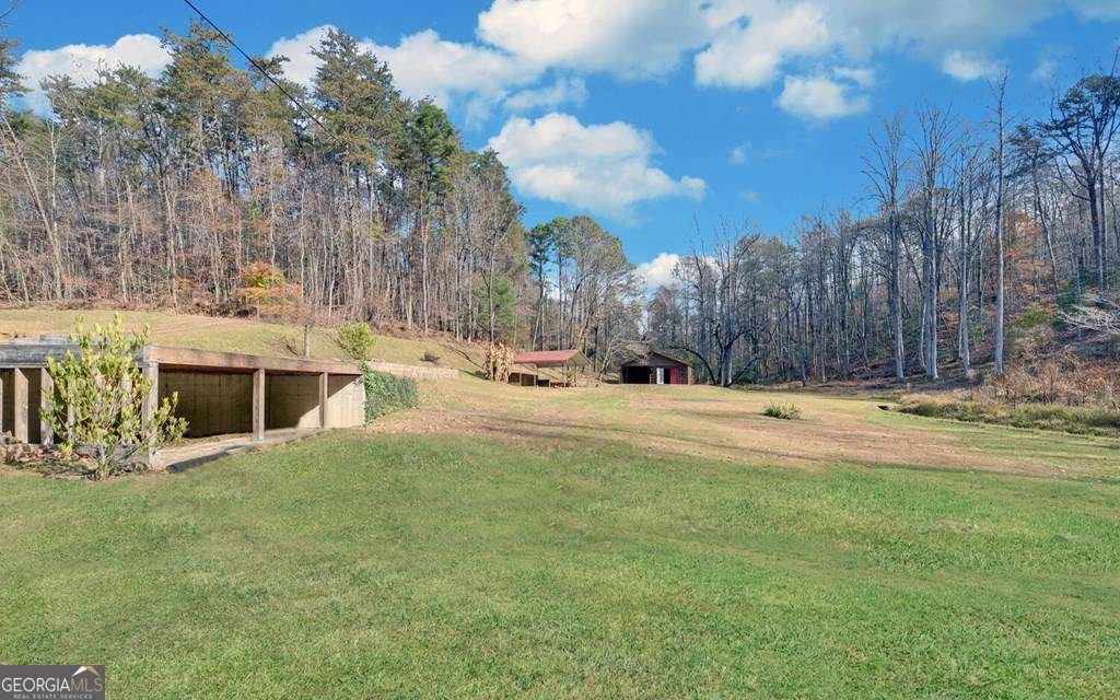 433 Valley Drive Ellijay - 32