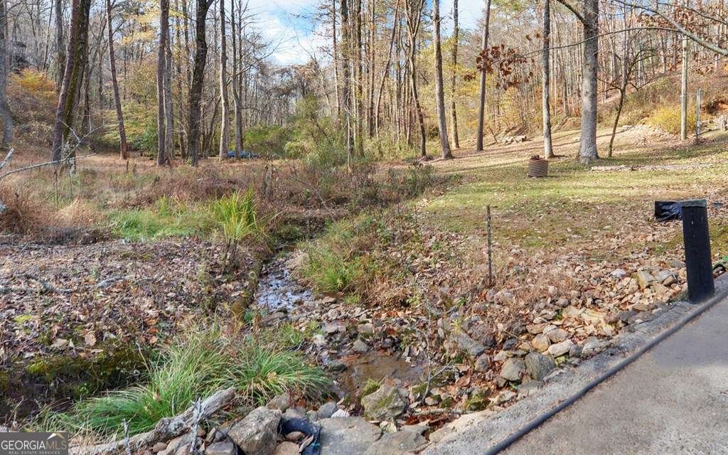 433 Valley Drive Ellijay - 35