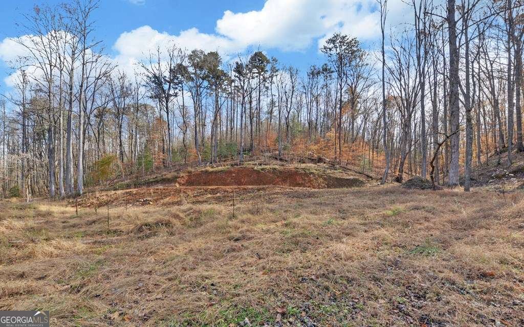 433 Valley Drive Ellijay - 37