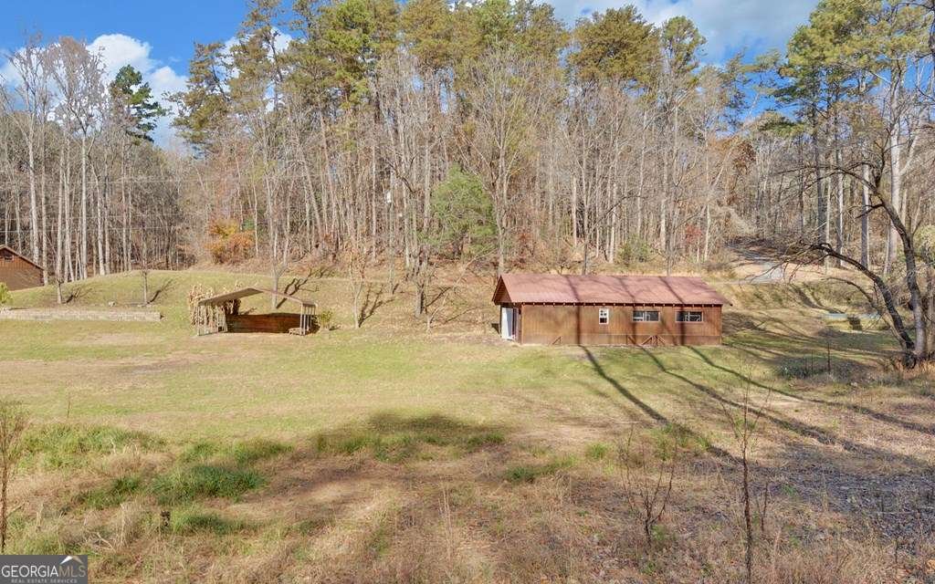 433 Valley Drive Ellijay - 38