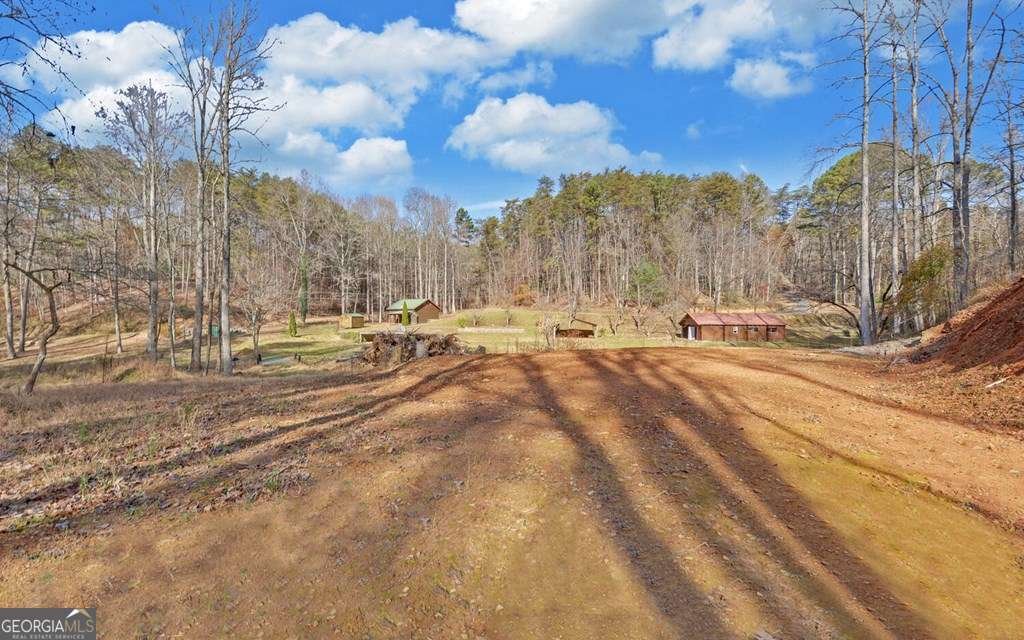 433 Valley Drive Ellijay - 39