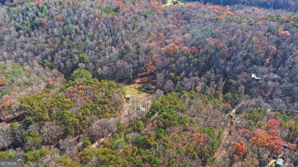 433 Valley Drive Ellijay - 40