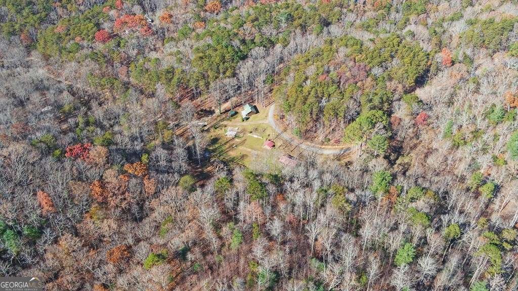 433 Valley Drive Ellijay - 42