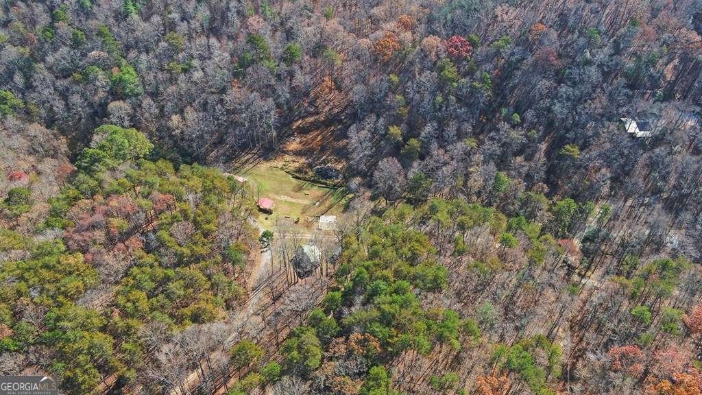 433 Valley Drive Ellijay - 43