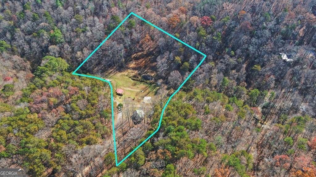 433 Valley Drive Ellijay - 44