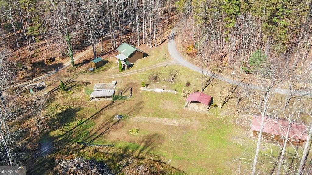 433 Valley Drive Ellijay - 45