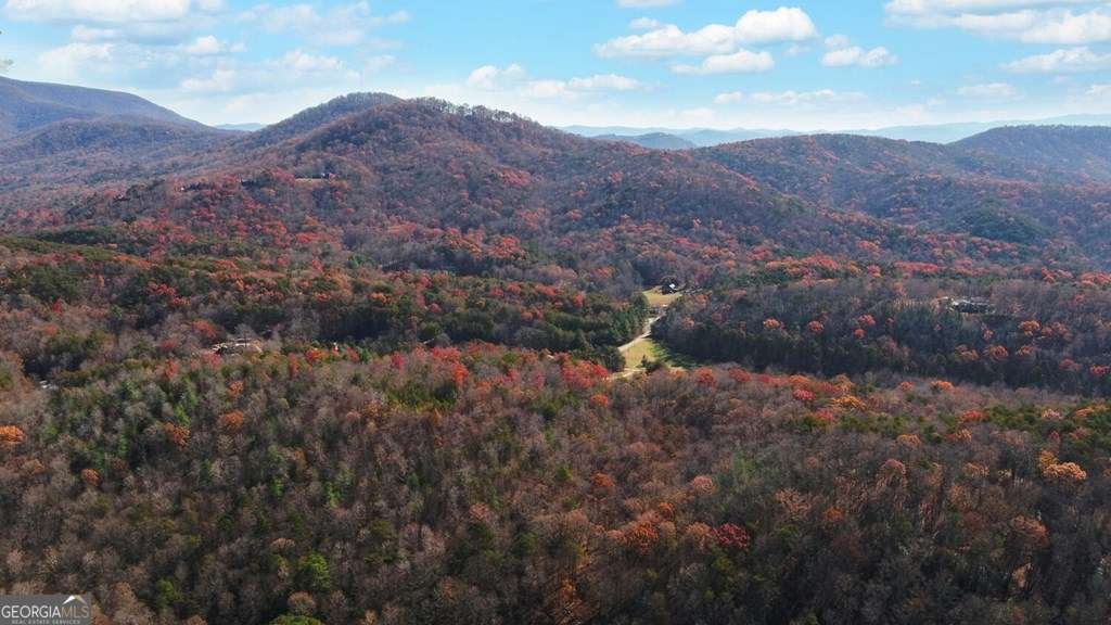 433 Valley Drive Ellijay - 46