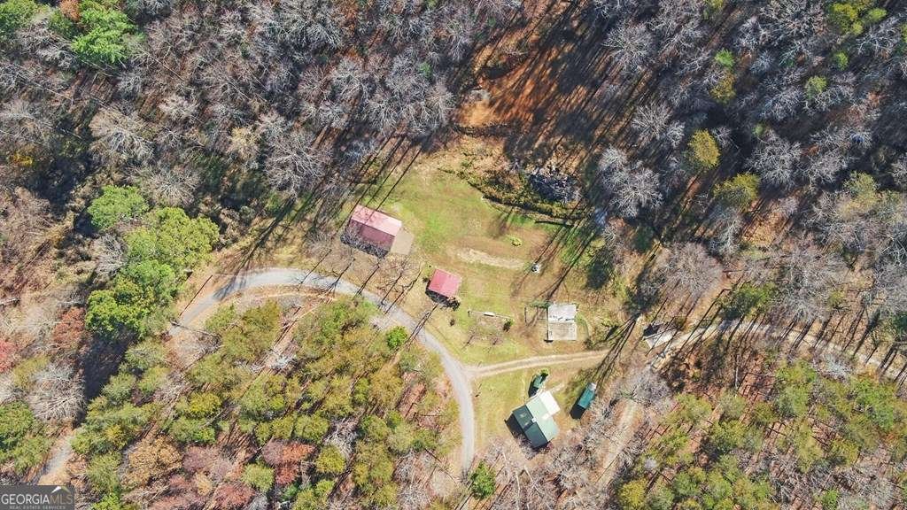 433 Valley Drive Ellijay - 47