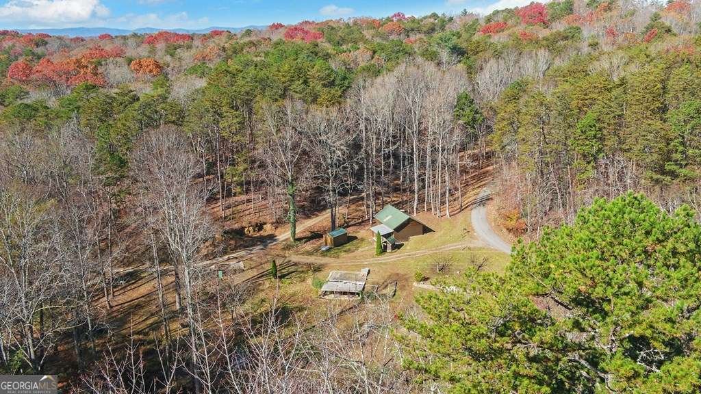 433 Valley Drive Ellijay - 49