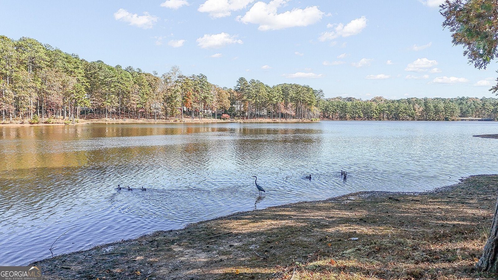 502 Samiel Point Peachtree City - 5