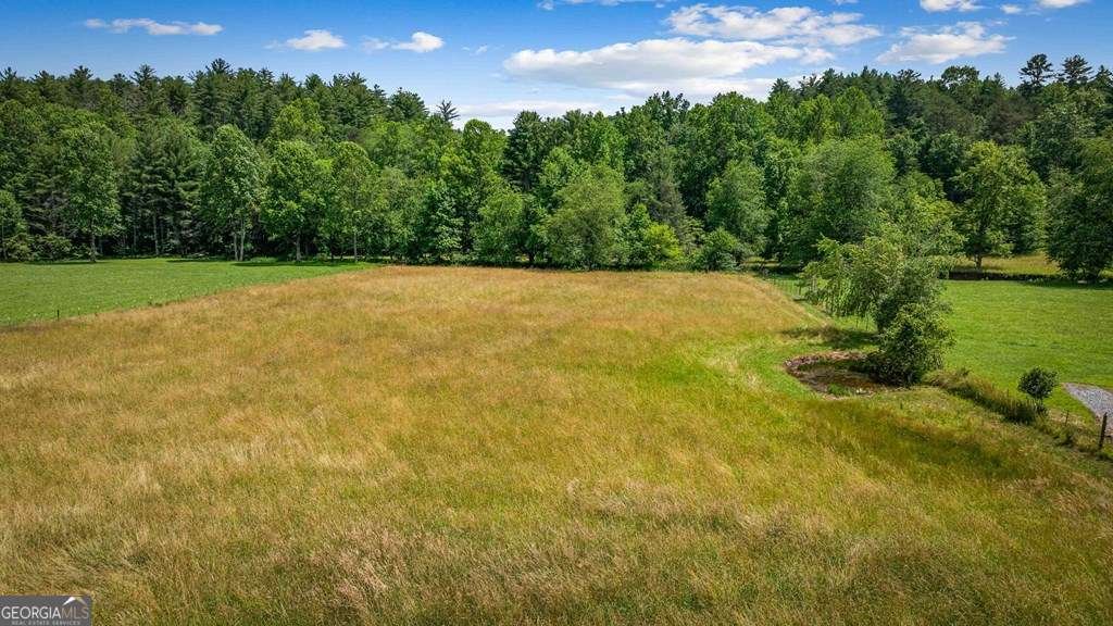 332 Night Lane Epworth - 15