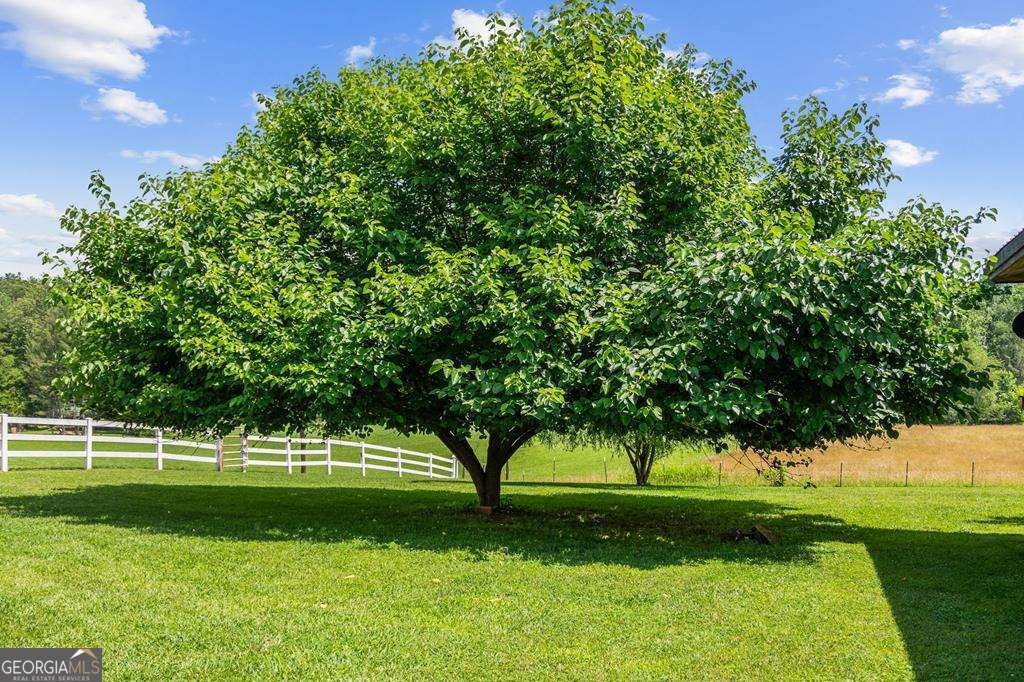 332 Night Lane Epworth - 76