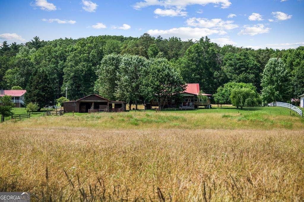 332 Night Lane Epworth - 82