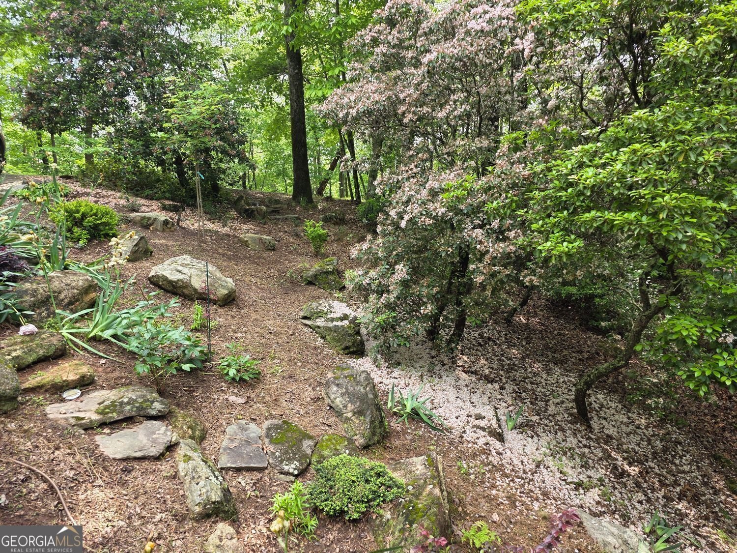 73 Brentwood Court Sautee Nacoochee - 2