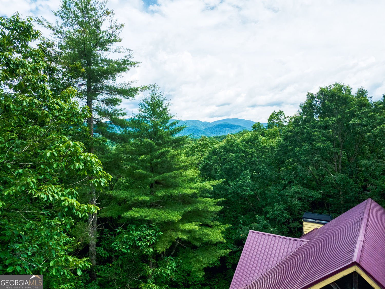 73 Brentwood Court Sautee Nacoochee - 3