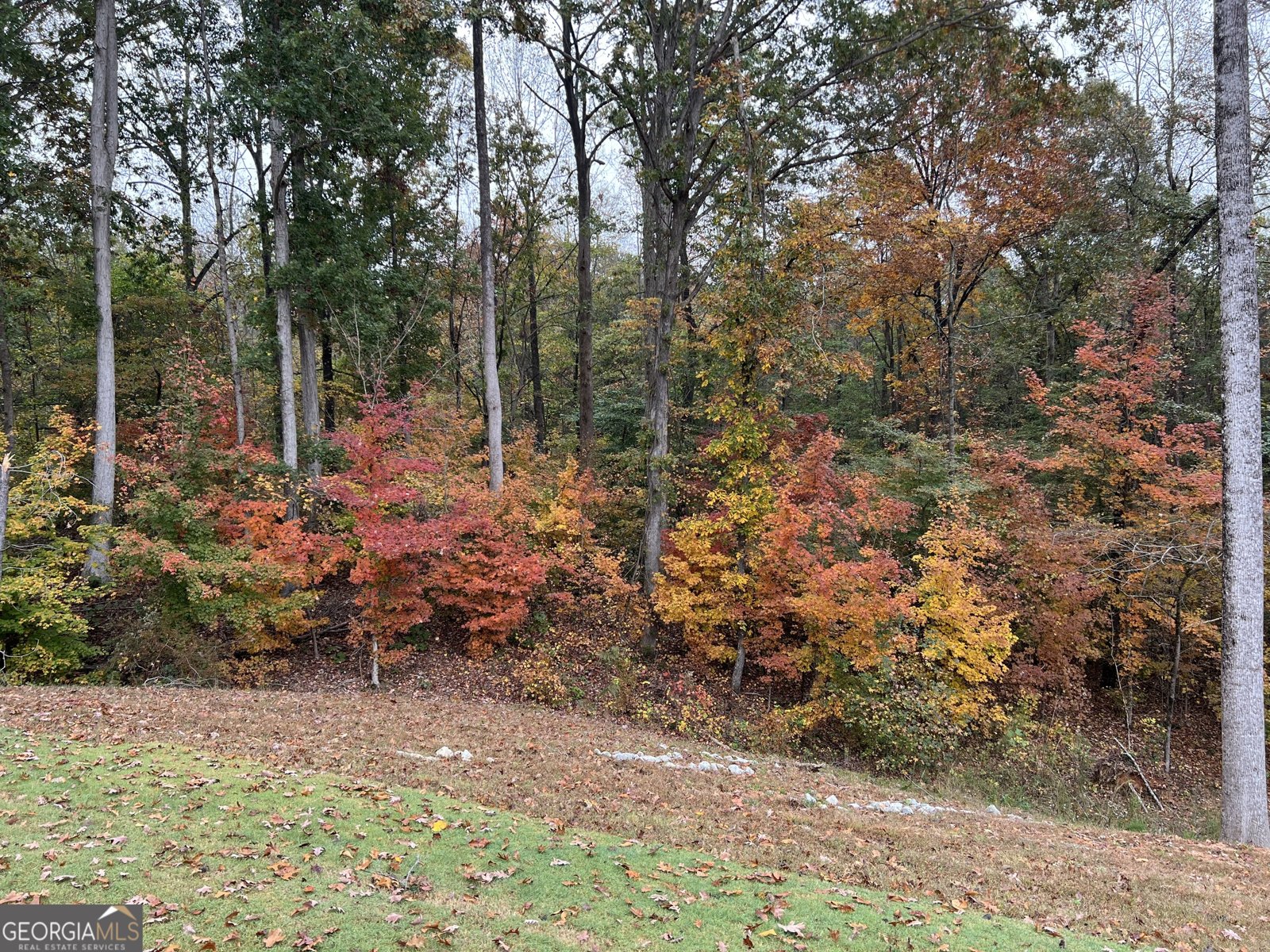 561 Oconee Lane Commerce - 16