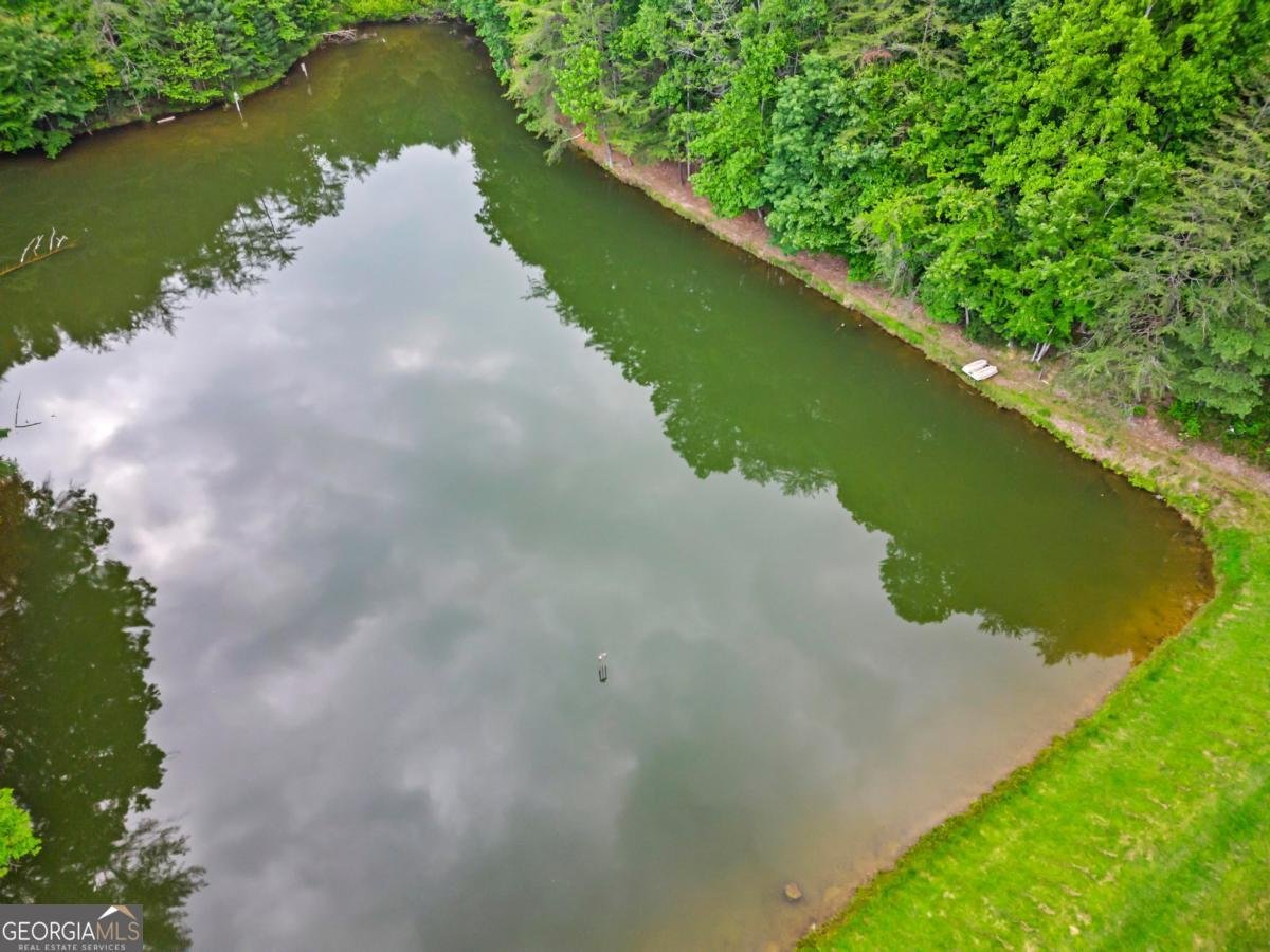 60 Clubhouse Court Ellijay - 43