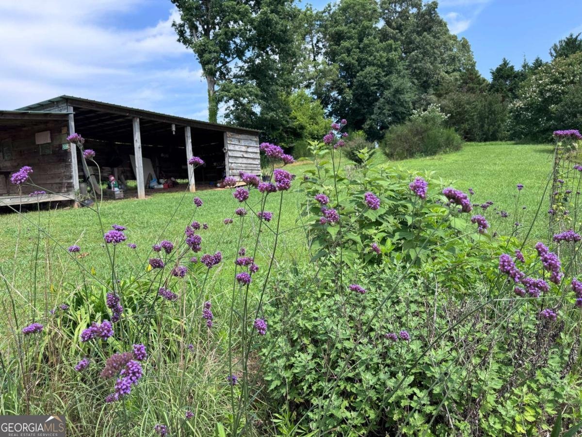 315 Woody Road Adairsville - 42