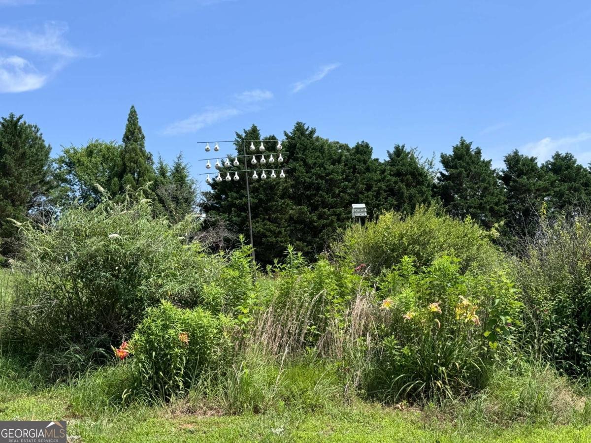 315 Woody Road Adairsville - 43