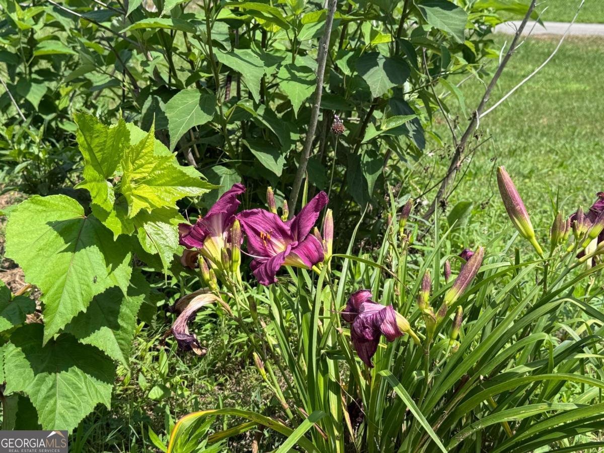 315 Woody Road Adairsville - 44